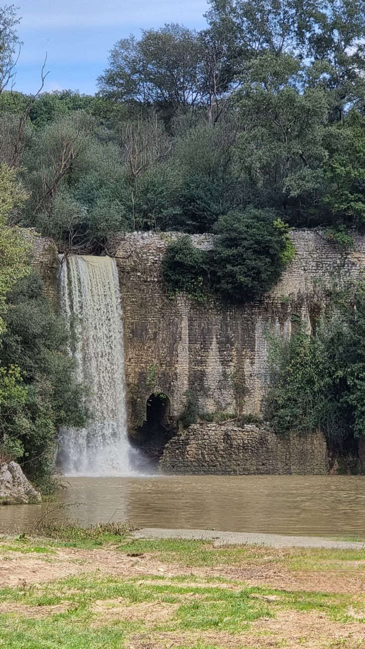 A waterfall in a forest, surrounded by greenery and trees.