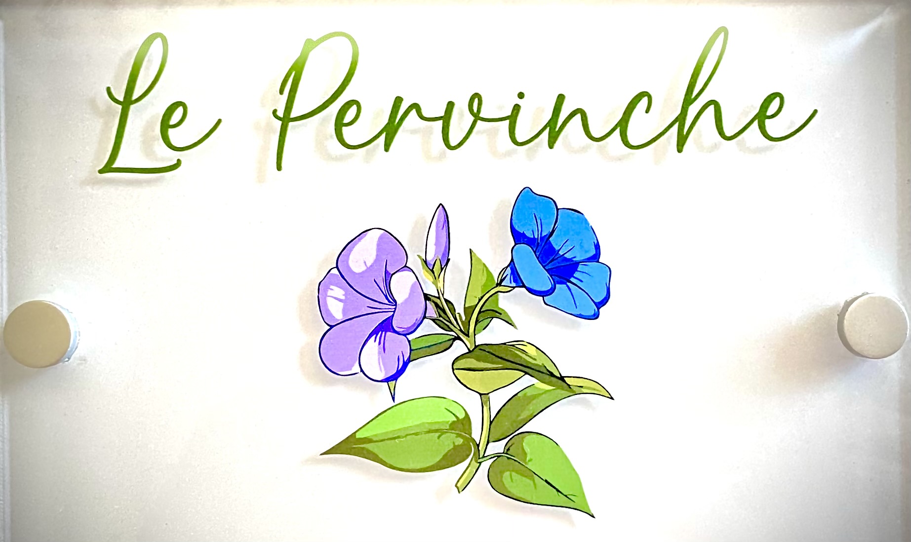 Titolo: LE PERVINCHE