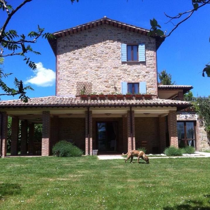 A stone building surrounded by greenery, with a dog moving in the garden.