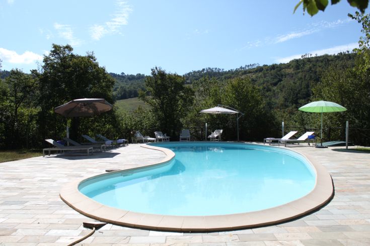 Swimming pool surrounded by olive trees and green plants, perfect for relaxing moments in Umbria.