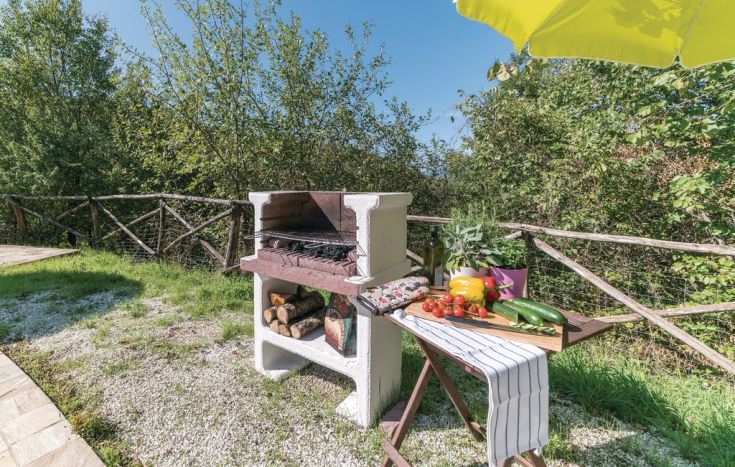 A cozy outdoor area with a barbecue, fresh vegetables, and a beautiful natural setting.