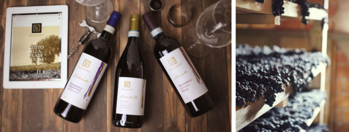 bottiglie di vino e uva