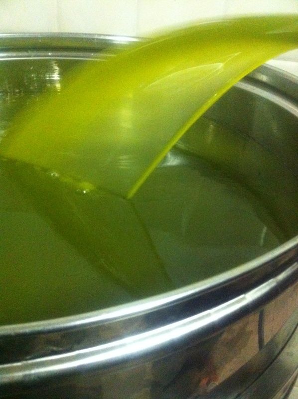 spremitura olio a freddo 