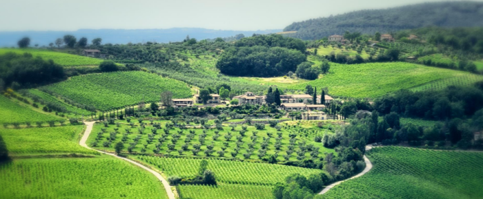 Tenuta Pizzogallo