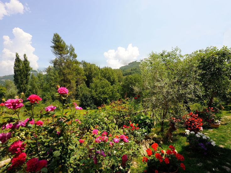 Ambiente naturale con fiori e vegetazione, l'agriturismo offre un luogo tranquillo e piacevole. Ideale per una pausa.