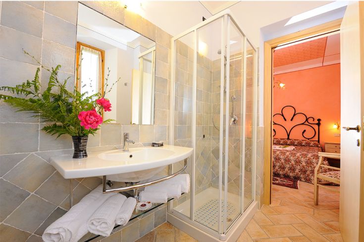 Bagno con doccia e decorazioni floreali, situato all'interno di un palazzo accogliente.