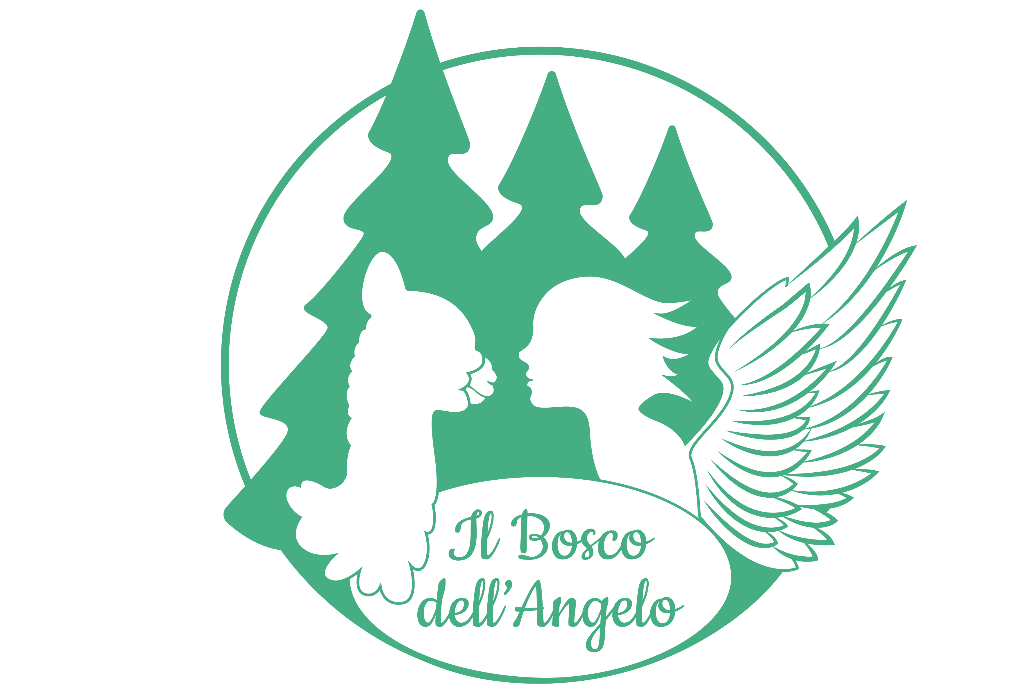 Titolo: IL BOSCO DELL'ANGELO