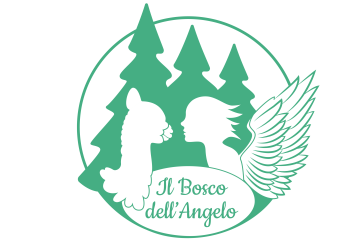 Titolo: IL BOSCO DELL'ANGELO