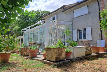 Titolo: LA CASA DEI CAVALLI