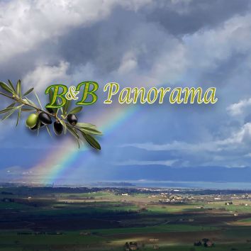 Titolo: B&B PANORAMA 