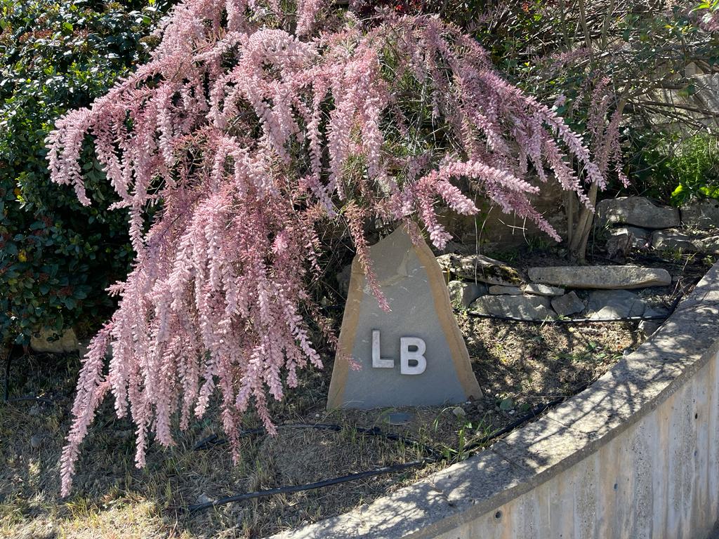 Titolo: LE BALZE