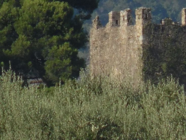 Un mas traditionnel entouré d'un vaste espace vert, parfait pour des moments de tranquillité et d'activités en plein air.