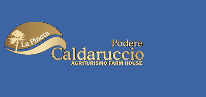 Agriturismo con appartamenti e una villa immersi in un parco tranquillo. Perfetto per chi cerca relax e attività all'aperto.