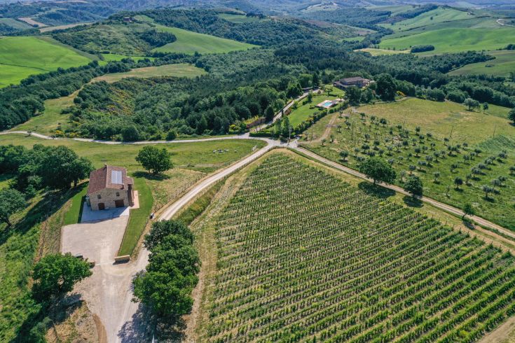 Scène de la campagne ombrienne, avec des vignobles et des oliveraies entourant un bâtiment classique.