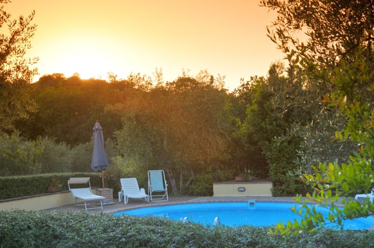 Vue du coucher de soleil sur une piscine entourée de verdure luxuriante et d'arbres.