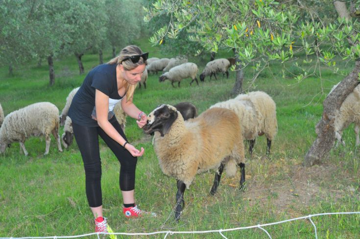 Une jeune femme caresse un mouton dans un paysage agricole serein. La verdure environnante ressort.