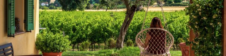 Ferme de campagne en Ombrie avec vue sur les vignobles. Un endroit paisible pour une retraite dans la nature.