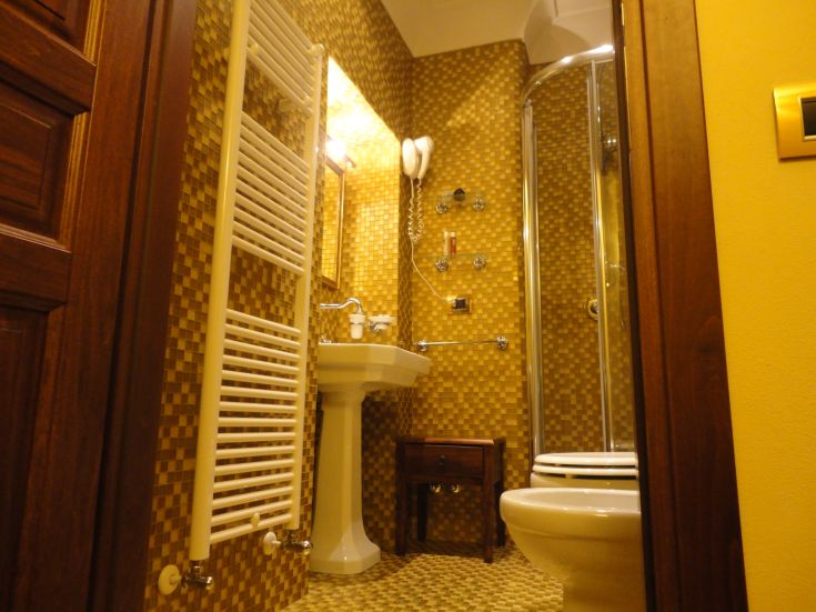 Ein einfaches Bad mit Dusche und modernen Accessoires, das eine gemütliche Atmosphäre schafft.