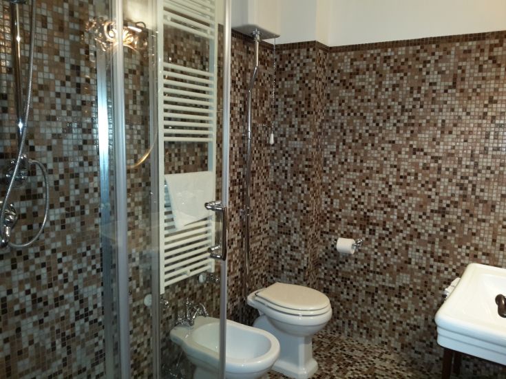 Schlichtes Badezimmer mit Mosaikfliesen, zeitgenössischer Dusche und sanitären Einrichtungen, ideal zum Entspannen.