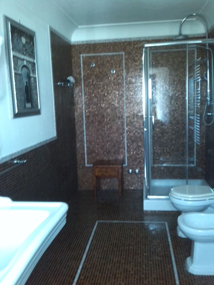 Ein modernes Badezimmer mit Mosaikfliesen und einer funktionalen Dusche. Gemütliche und schlichte Atmosphäre.