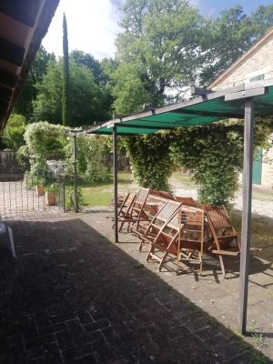 An outdoor space of a building featuring green plants, umbrellas, and lounge chairs for relaxation.