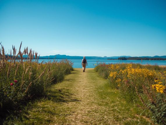 Nature trail on Polvese Island surrounded by lake vegetation.