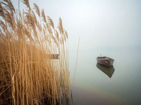 Misty sunrise landscape at Lake Trasimeno, Italy.