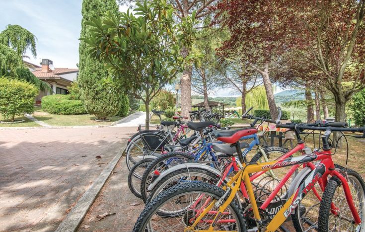 Una selezione di biciclette disponibili per l'uso in un confortevole spazio esterno circondato dalla natura.