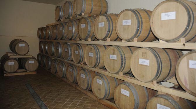 Una cantina con barili in legno allineati, pronti per invecchiare il vino.