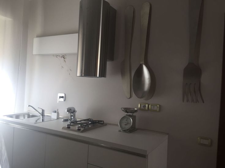 Cucina moderna e ben attrezzata con elementi in acciaio. Ambiente luminoso e pratico.