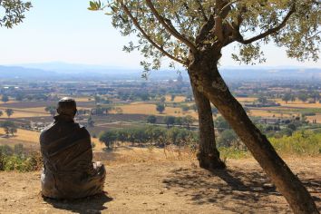 Una scultura di meditazione si trova in un tranquillo paesaggio rurale sotto un albero d'ulivo.