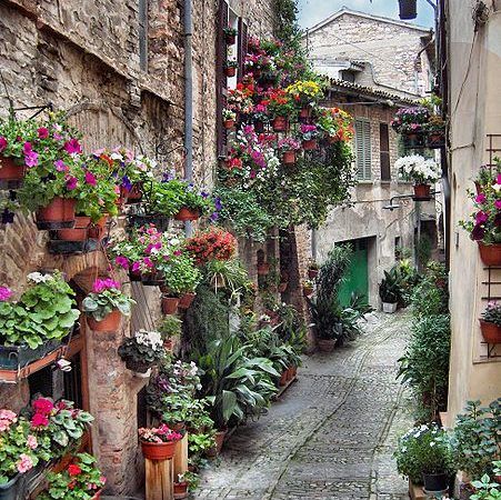 Un piacevole vicolo con fiori che abbelliscono l'ambiente urbano.