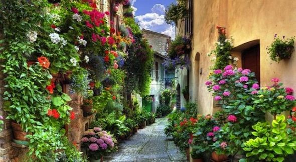 Un vicolo adornato di fiori e piante, che offre un'atmosfera tranquilla e accogliente.