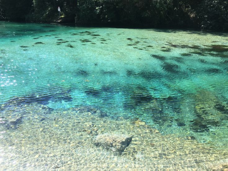 Acqua cristallina si estende verso l'orizzonte, riflettendo la vegetazione circostante e creando un'atmosfera tranquilla.