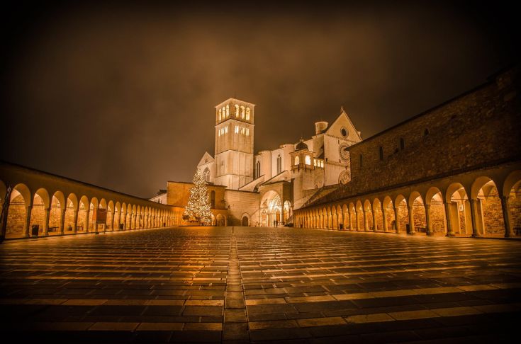 Immagine notturna del palazzo con un albero di Natale ben adornato, illuminato in modo delicato.