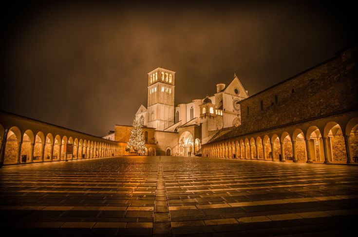 Scena notturna della Basilica di San Francesco ad Assisi, con un albero di Natale illuminato in primo piano.