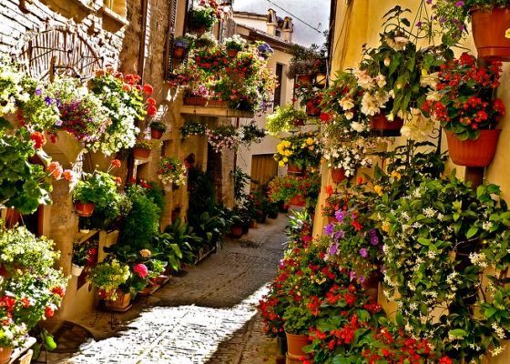 Un tranquillo vicolo adornato da piante e fiori variopinti tipici dell'Umbria.