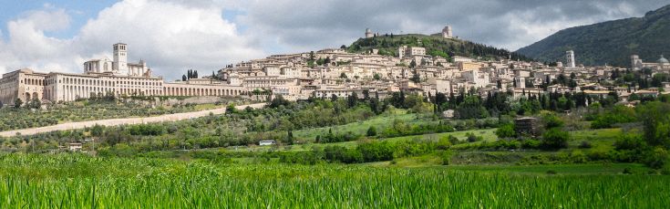Scena di Assisi, immersa nel verde, con i suoi edifici storici e i dolci rilievi circostanti.