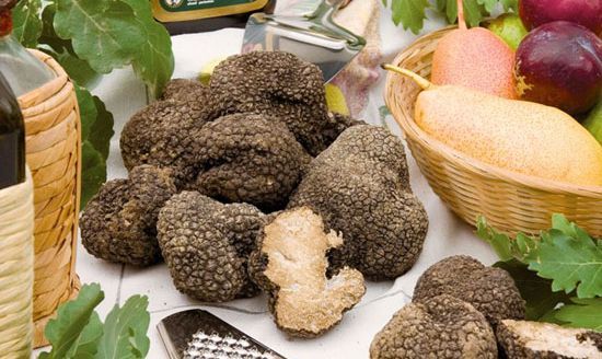 Una selezione di tartufi freschi, serviti su un tavolo insieme a frutta di stagione.