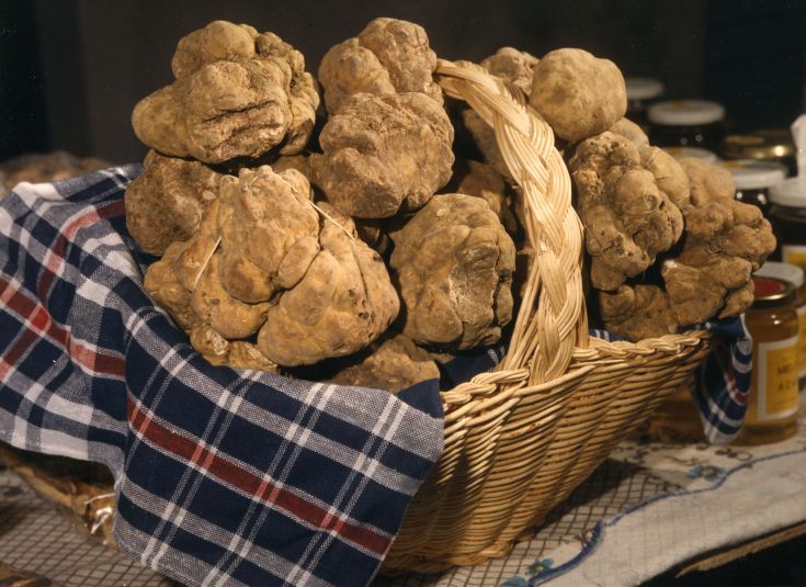 Un cesto con tartufi pregiati, noti per il loro sapore ricco, simbolo della tradizione gastronomica italiana.