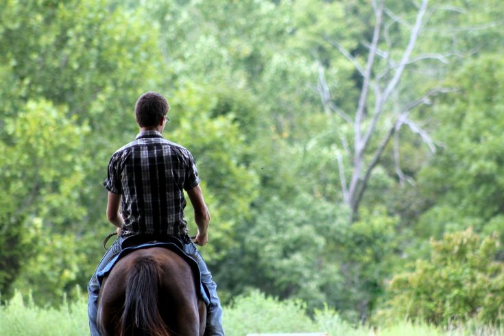 Un uomo a cavallo si trova in una tranquilla campagna verde, circondato da alberi e prati.