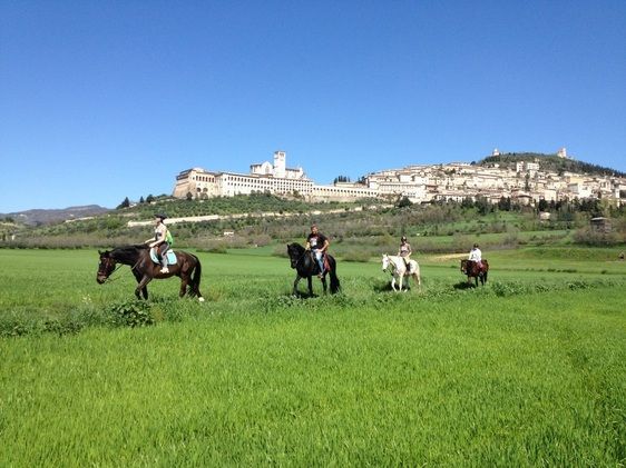 Cavalieri in un ampio campo verde con un paesaggio naturale alle spalle.