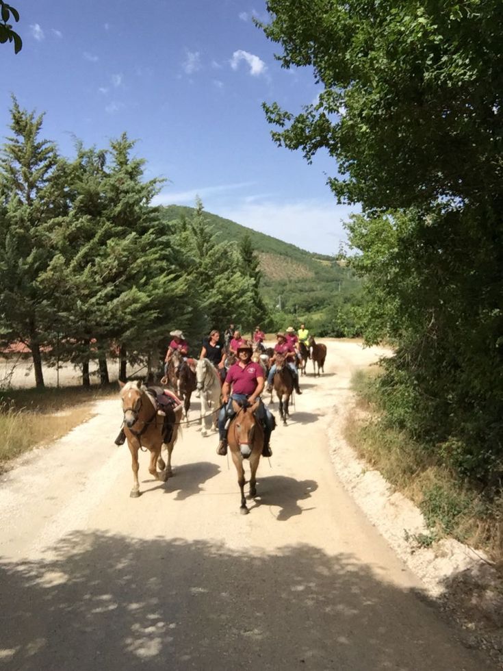 Passeggiata a cavallo nella natura con un gruppo di amici, circondati da dolci colline verdi.