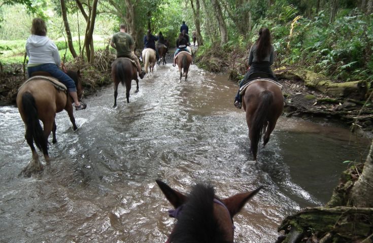 Cavalieri in esplorazione lungo un corso d'acqua, immersi in un ambiente naturale.