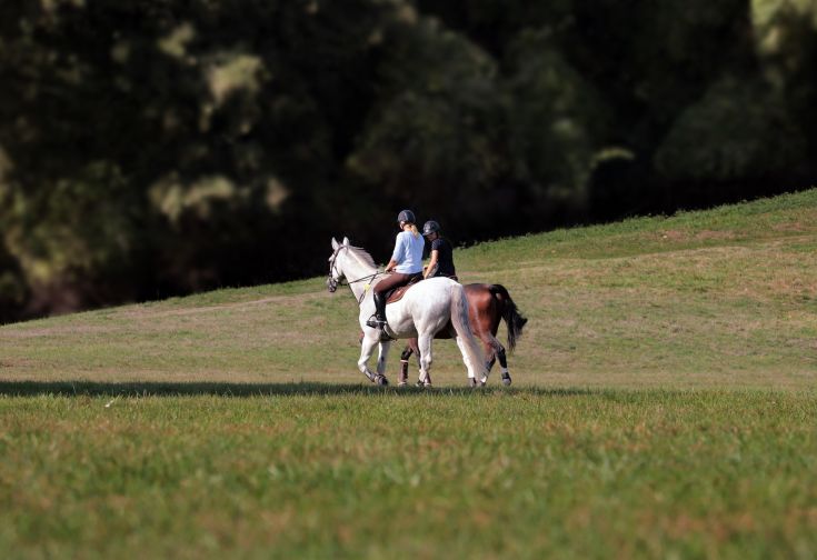 Due cavalieri a cavallo su un prato verde, circondati dalla natura.