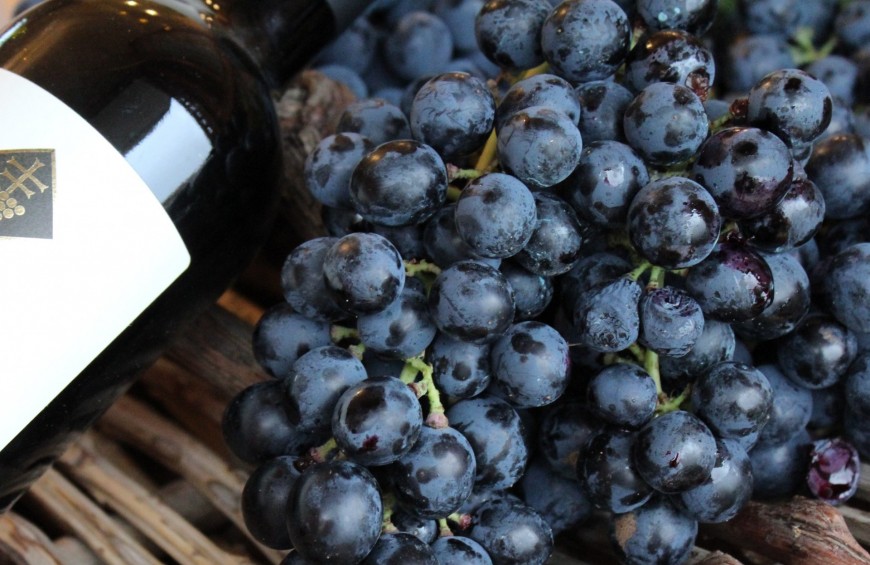 Uva nera fresca accanto a una bottiglia di vino.