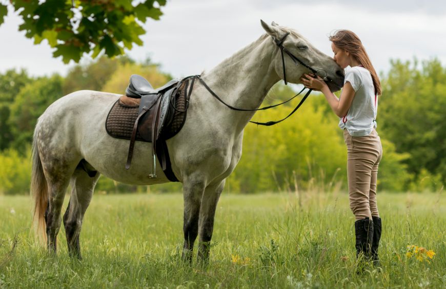 Una giovane ragazza bacia un cavallo grigio in un prato, enfatizzando l'affetto tra uomo e animale.
