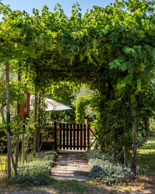 Un percorso in mattoni conduce a una pergola circondata da vegetazione, che dà accesso a un giardino tranquillo con un cancello.