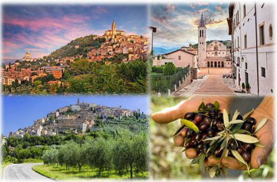 Una scena delle colline umbre caratterizzata da uliveti e antichi borghi.