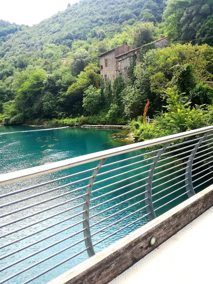 Un paesaggio tranquillo con un palazzo storico immerso nel verde, lungo un lago.